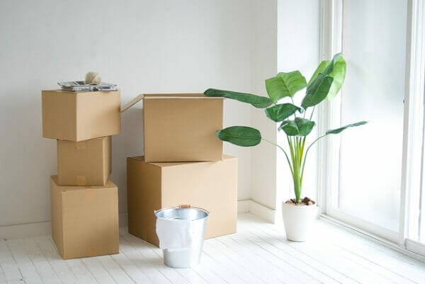 『最近引っ越しました。その頃からミルクを飲むのを嫌がるようになりました。』